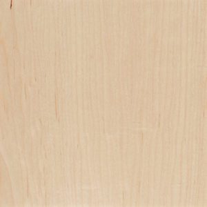 Natural Wood Slab- Maple