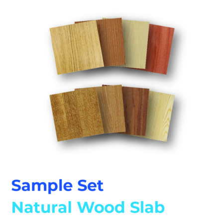 Natural Wood Slab- Sample Set